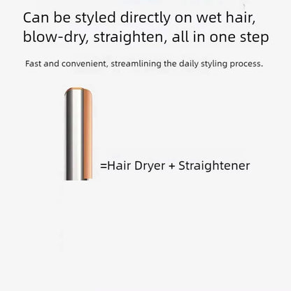2-in-1 Ionic Hair Dryer Straightener