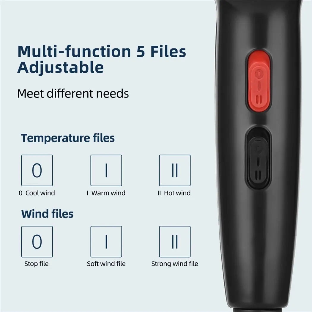 1600W Professional Ionic Hair Dryer